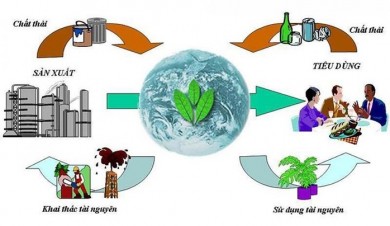 Đánh giá tác động môi trường là gì?